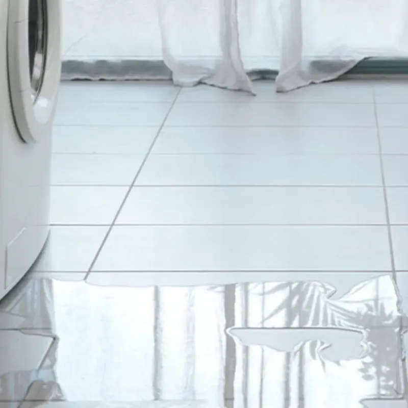 Appliance Leak Cleanup in Wells, MN