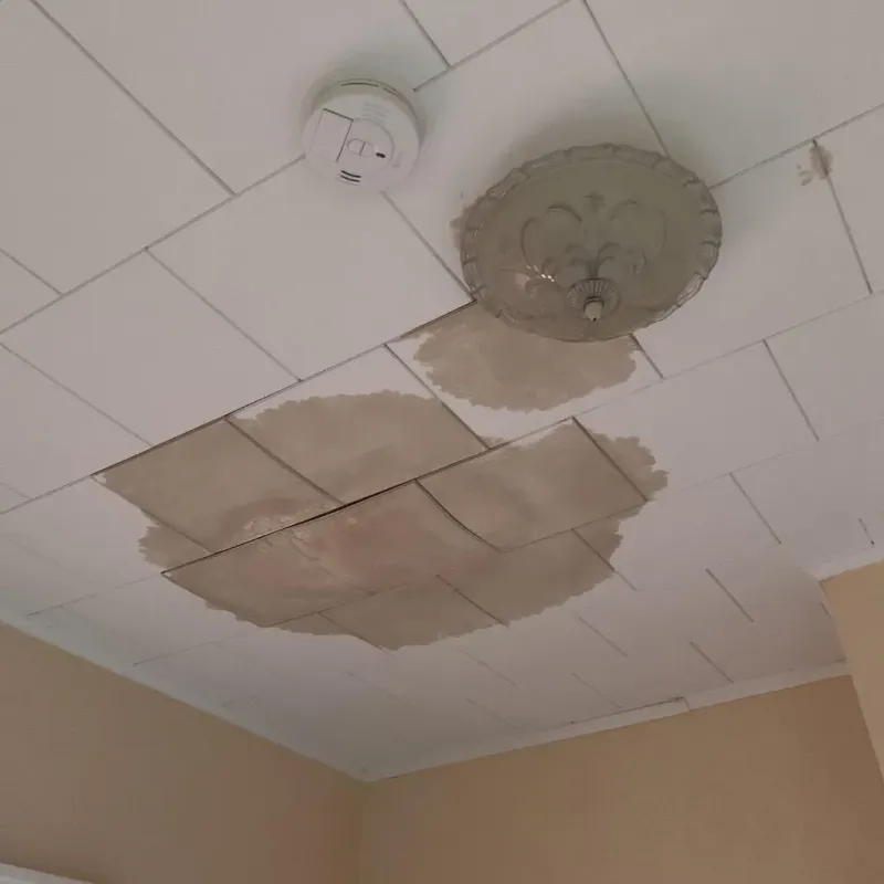 Ceiling Water Damage Repair in Wells, MN