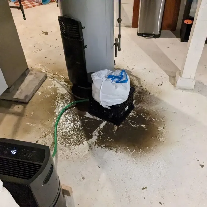 Sewage Backup Cleanup Service in Wells, MN